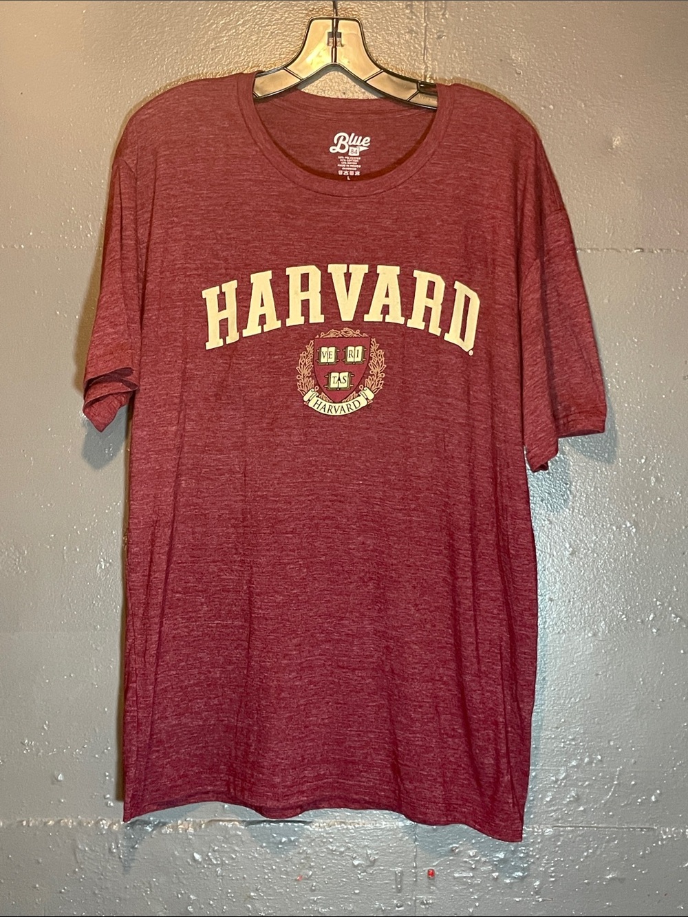 Blue 84 Harvard Graphic Tee in Maroon and Cream